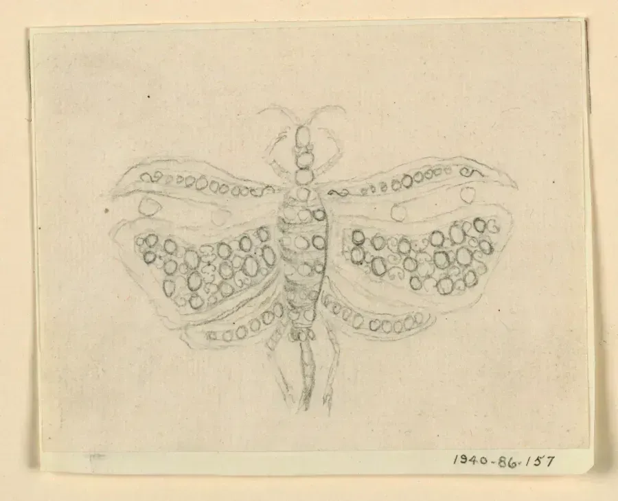 Эскиз броши-бабочки 1830-40 годов, Cooper Hewitt