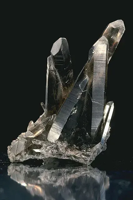 Agrupación natural de cristales de cuarzo ahumado con prismas translúcidos y ahumados sobre fondo oscuro