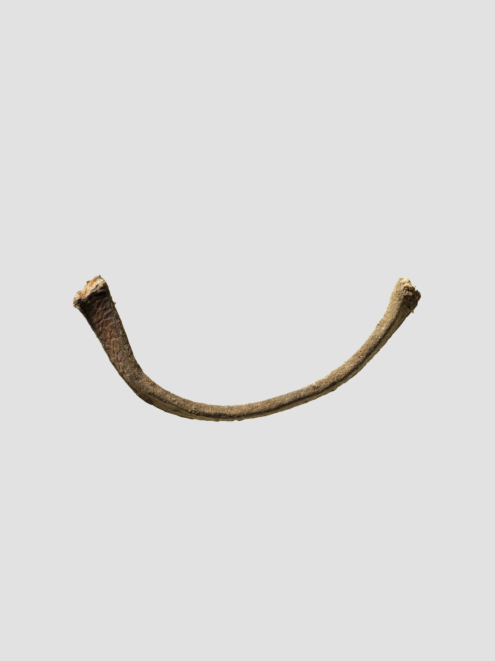 Antiguo cordón de cuero de la cultura alana, base para un colgante