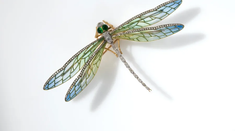 Родирование: что это, зачем нужно и как обновлять покрытие