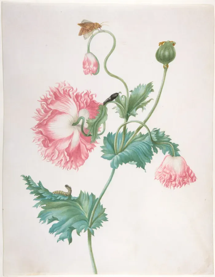 Украшение после терапии: символ завершённой внутренней работы