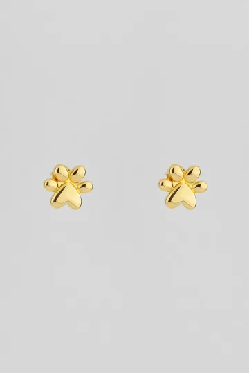 PENDIENTES PUSETS PACTO DE LA TIERRA 1