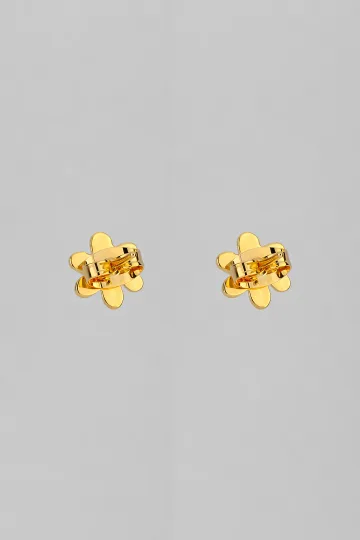 PENDIENTES PUSETS PACTO DE LA TIERRA 2